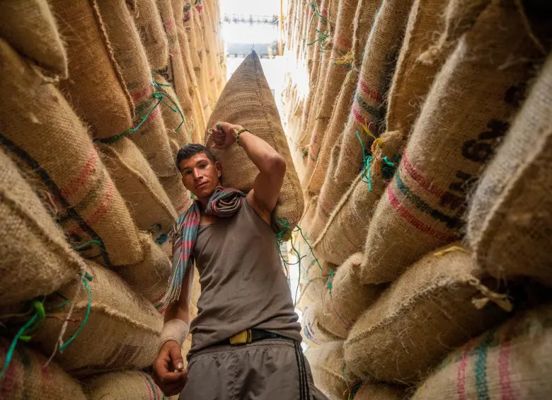 La crisis silenciosa del grano de oro: Factores y consecuencias de la proyección de caída en la producción cafetera