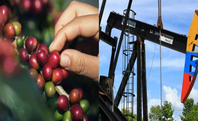 Mercados globales en tensión: El impacto de la volatilidad del petróleo y el café en las finanzas de las subregiones