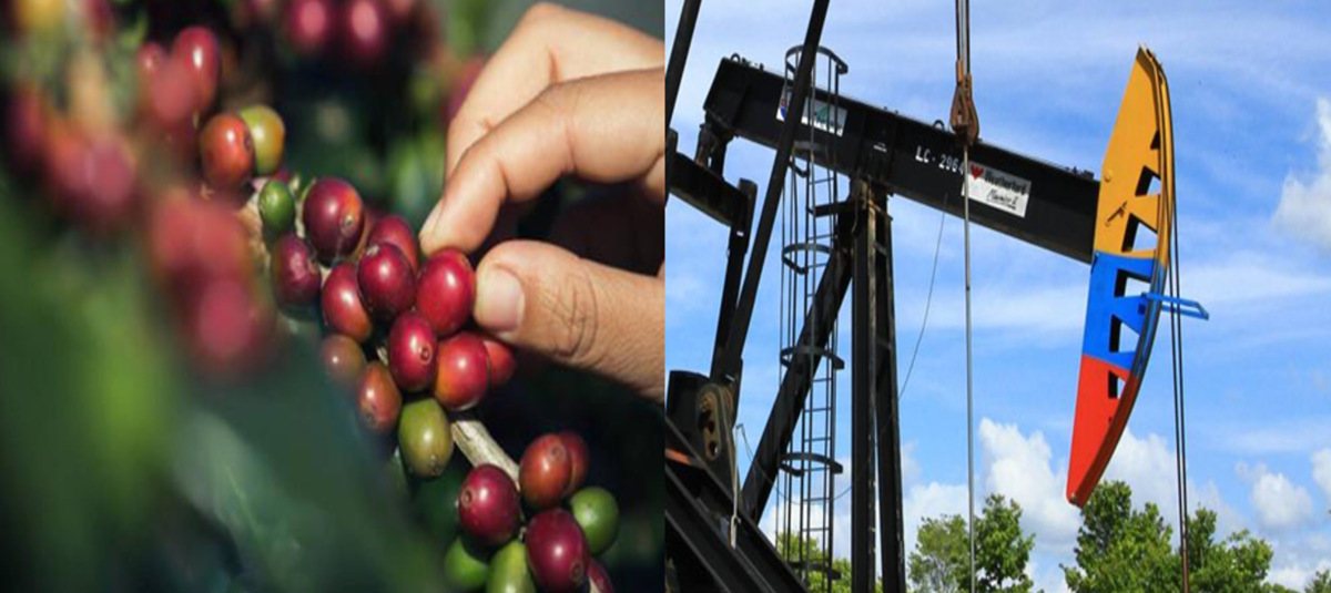 Mercados globales en tensión: El impacto de la volatilidad del petróleo y el café en las finanzas de las subregiones